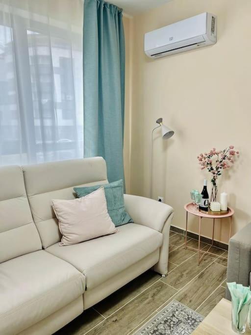 Apartment Malinova Stylish
